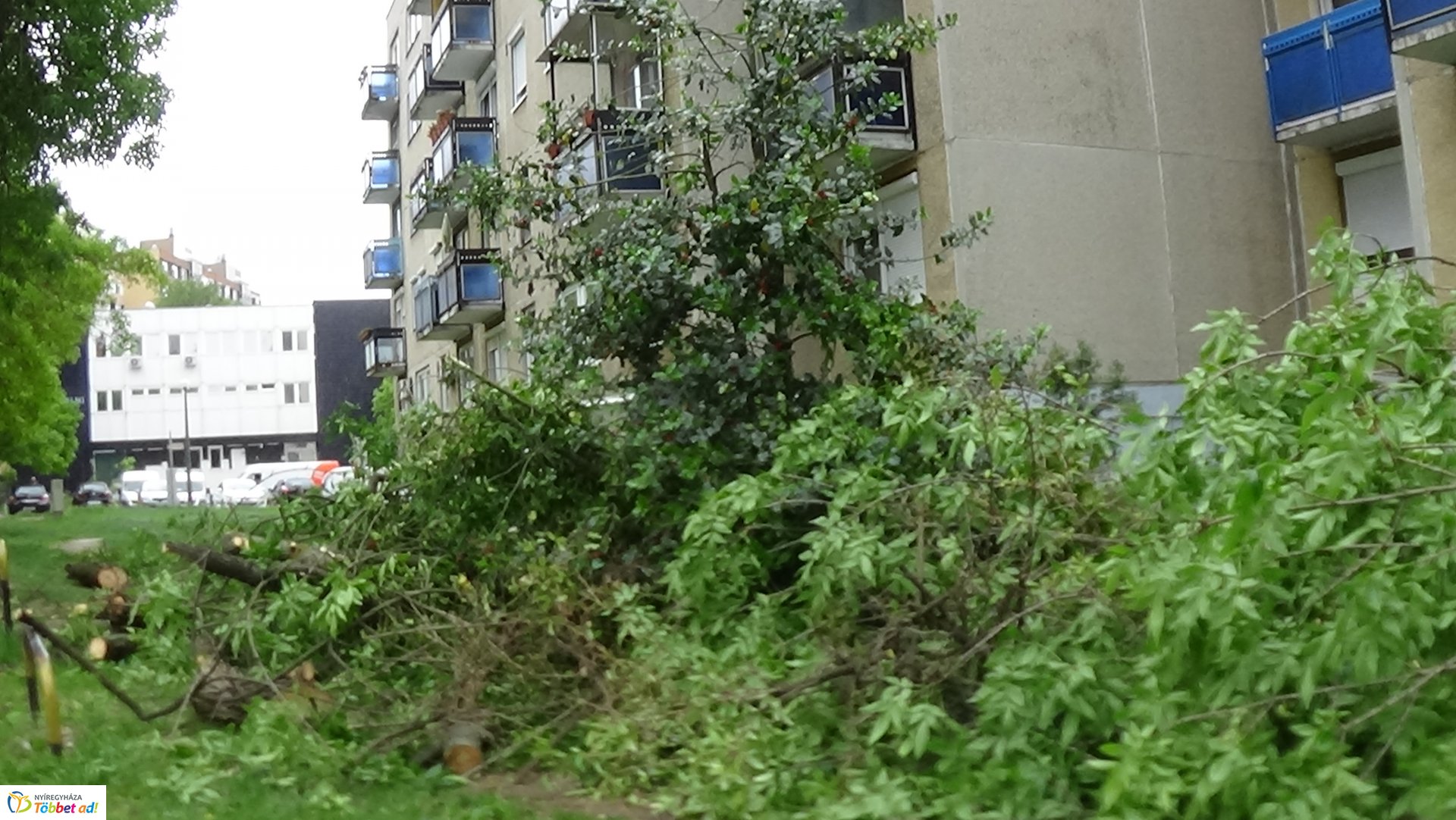 Viharkárok Nyíregyházán