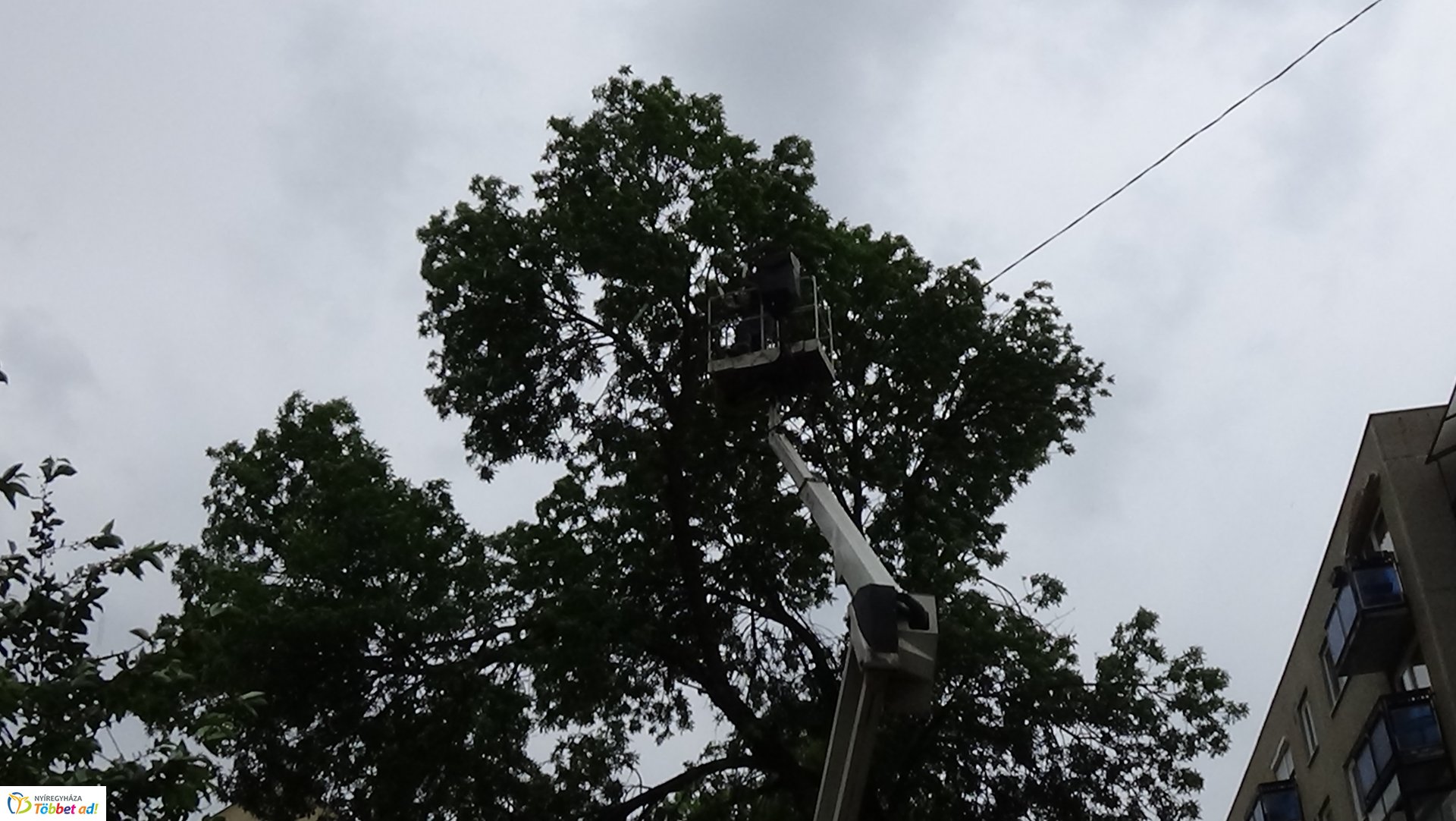 Viharkárok Nyíregyházán