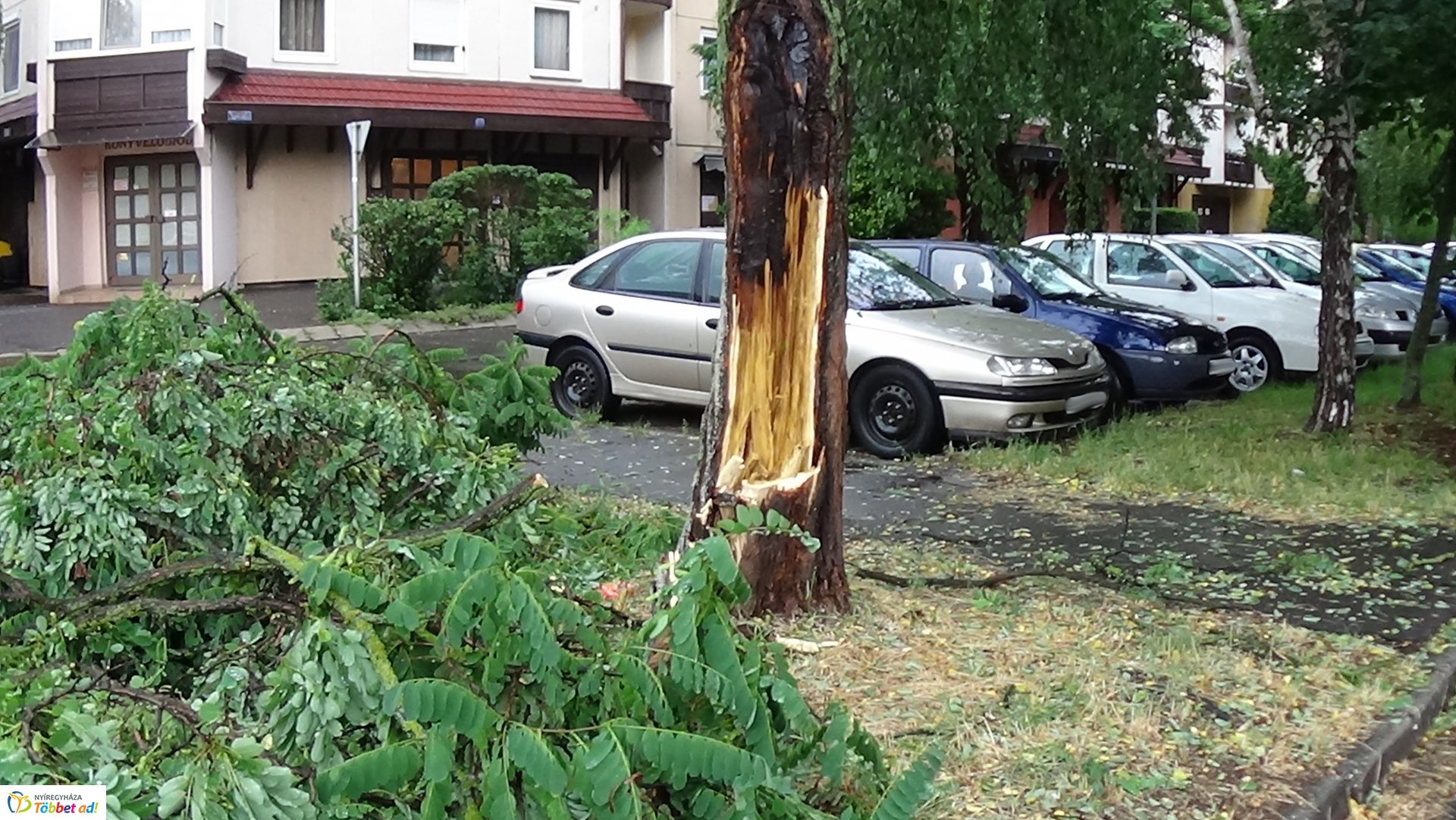 Viharkárok Nyíregyházán