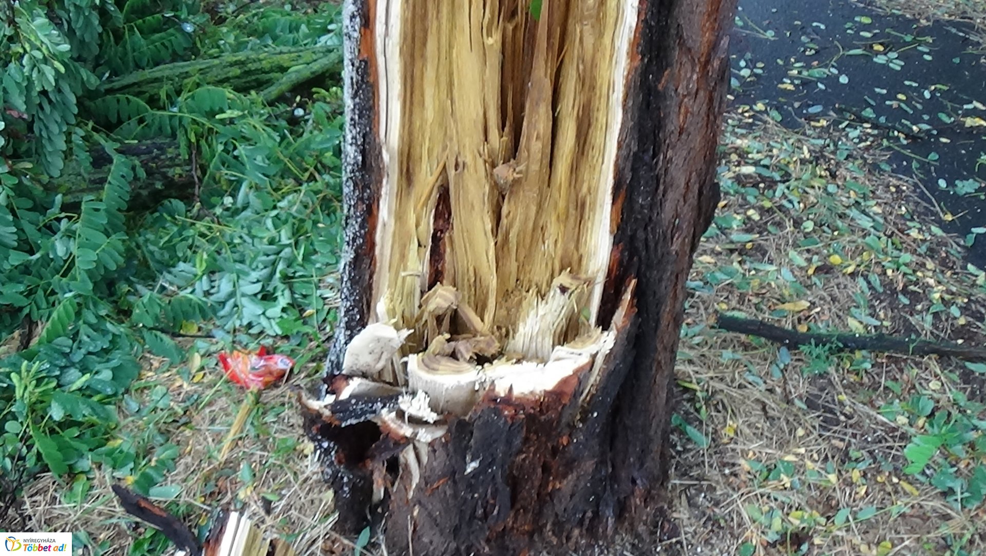 Viharkárok Nyíregyházán