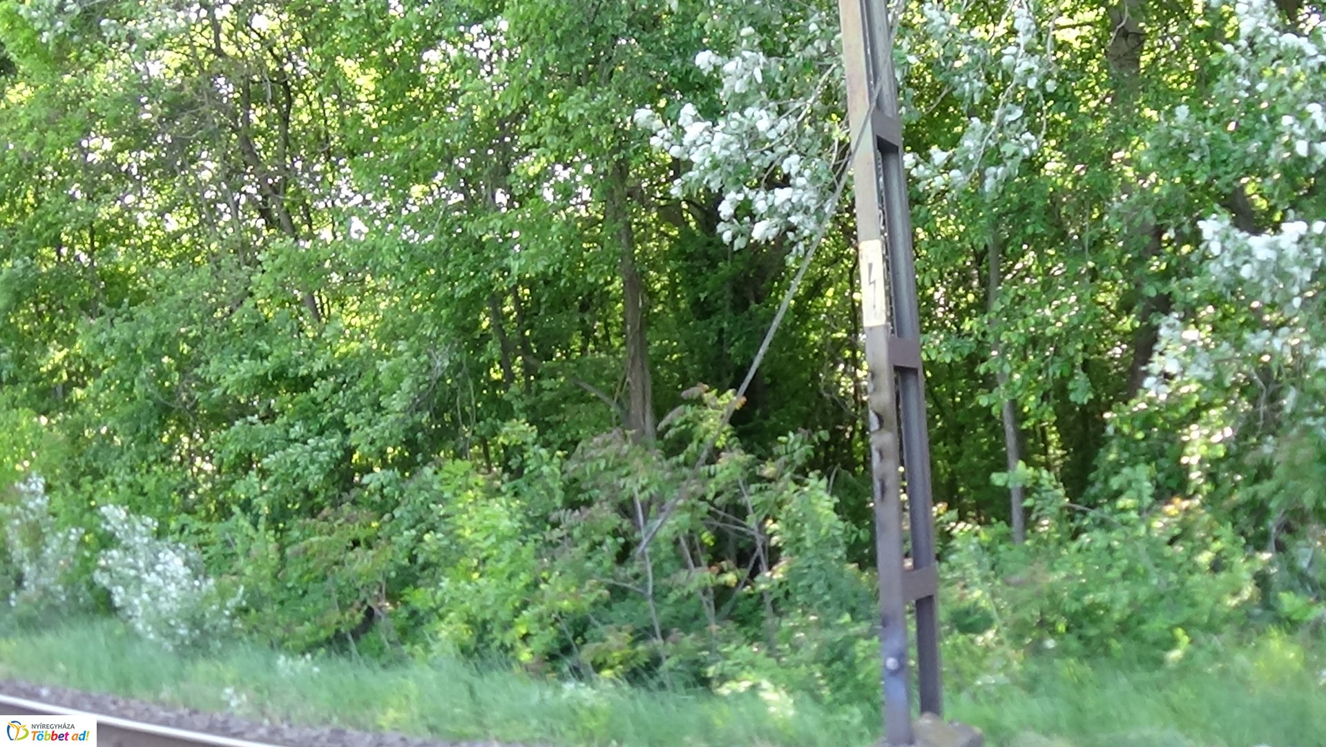 Viharkárok Nyíregyházán