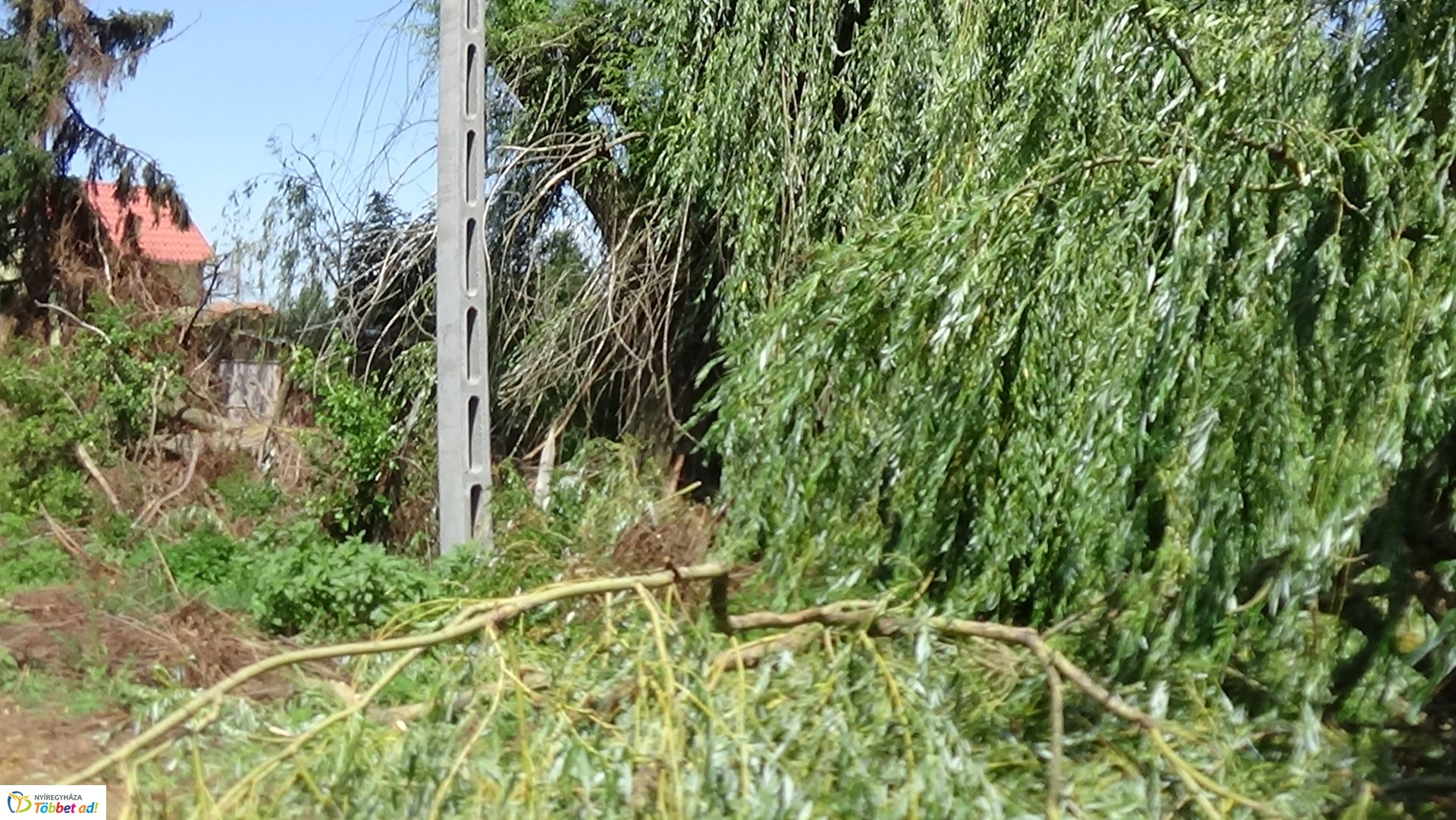 Viharkárok Nyíregyházán