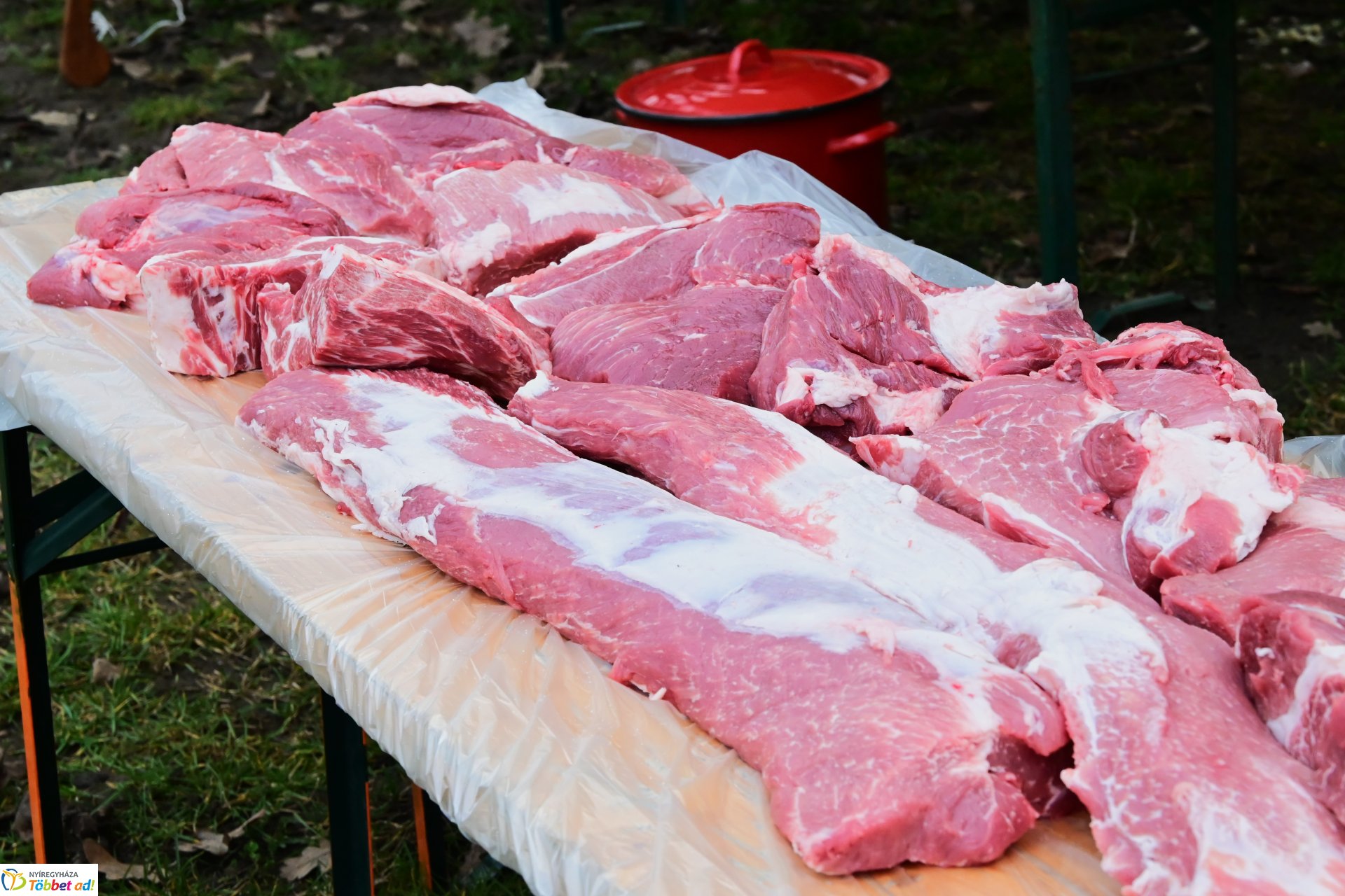 VIII. Nyírségi Disznótoros Fesztivál (1)