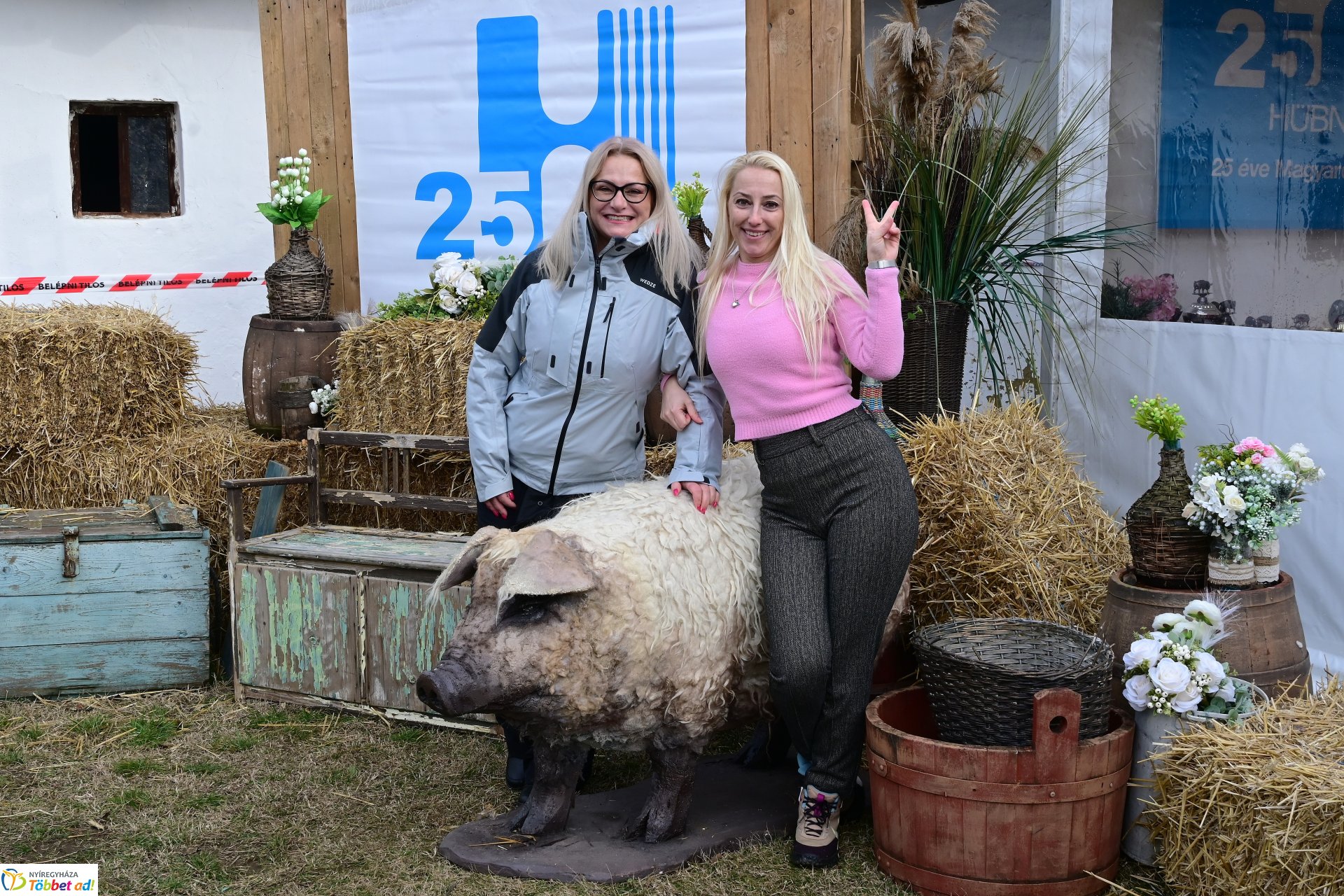 VIII. Nyírségi Disznótoros Fesztivál (2)