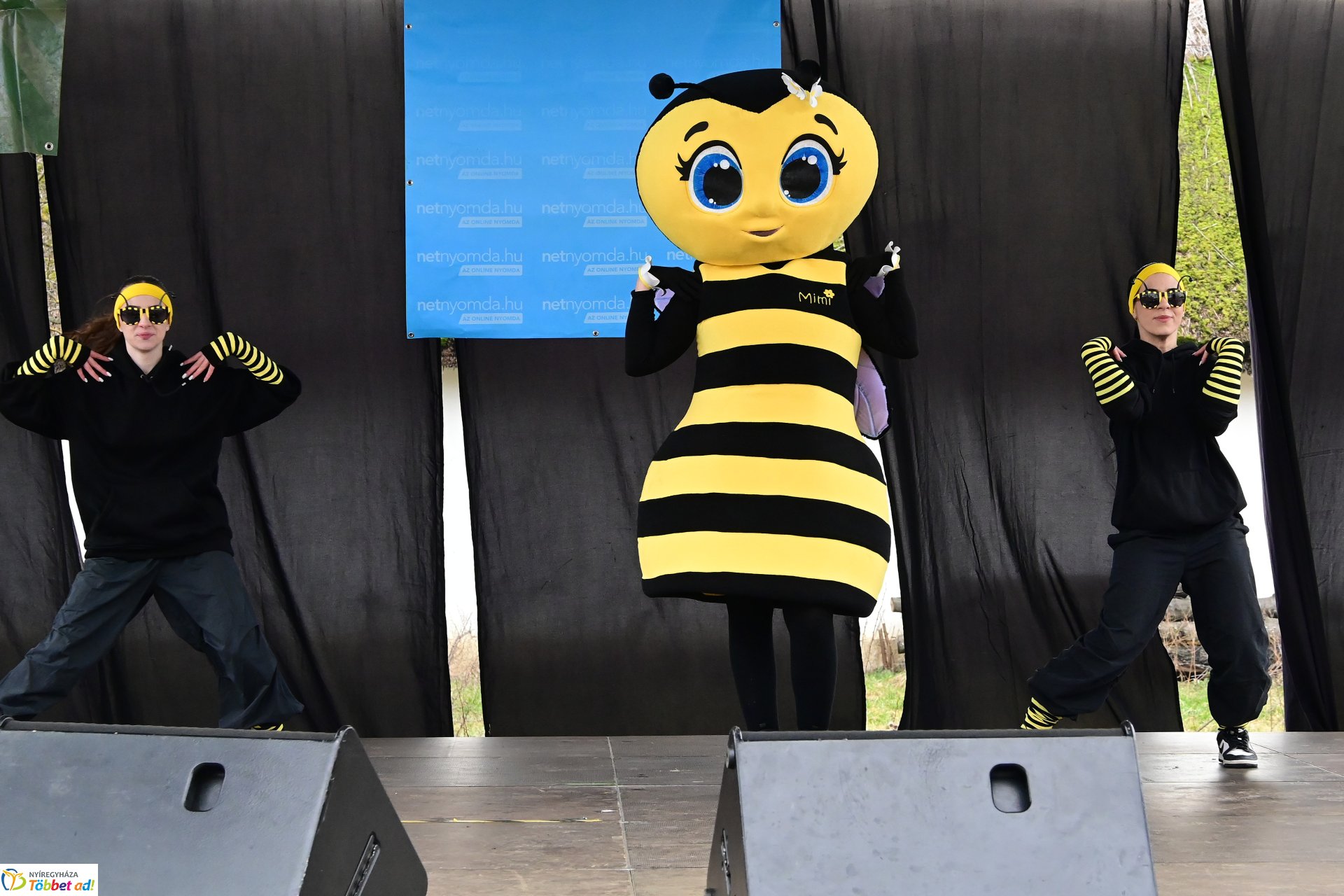 VIII. Nyírségi Disznótoros Fesztivál (2)