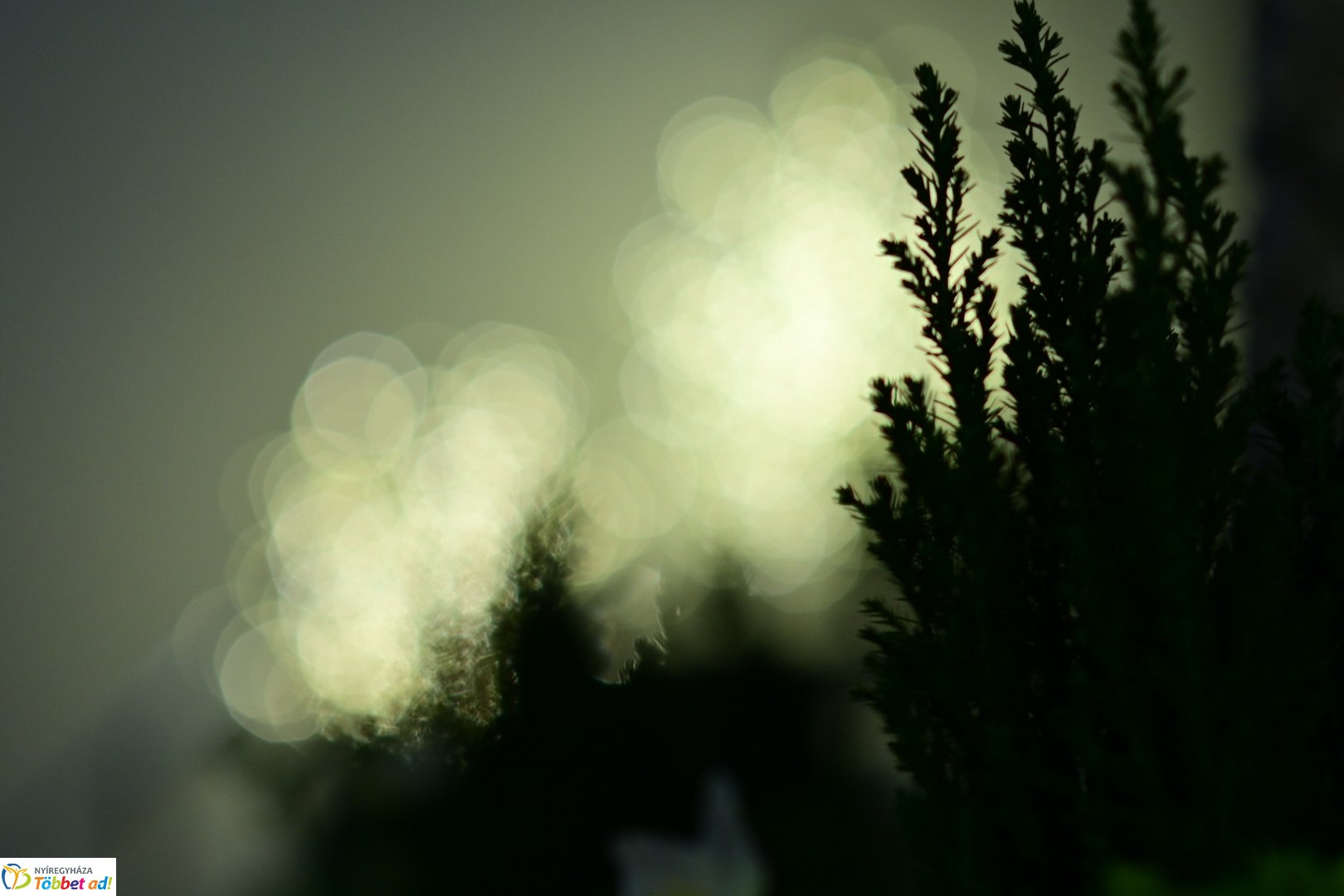 Vikár Karácsony a kulturális központban - 2025