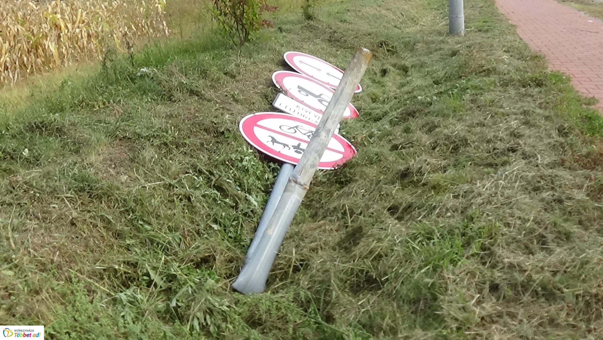 Villanyoszlopot és KRESZ táblákat tört ki egy gépkocsi a 41-es főútvonalon