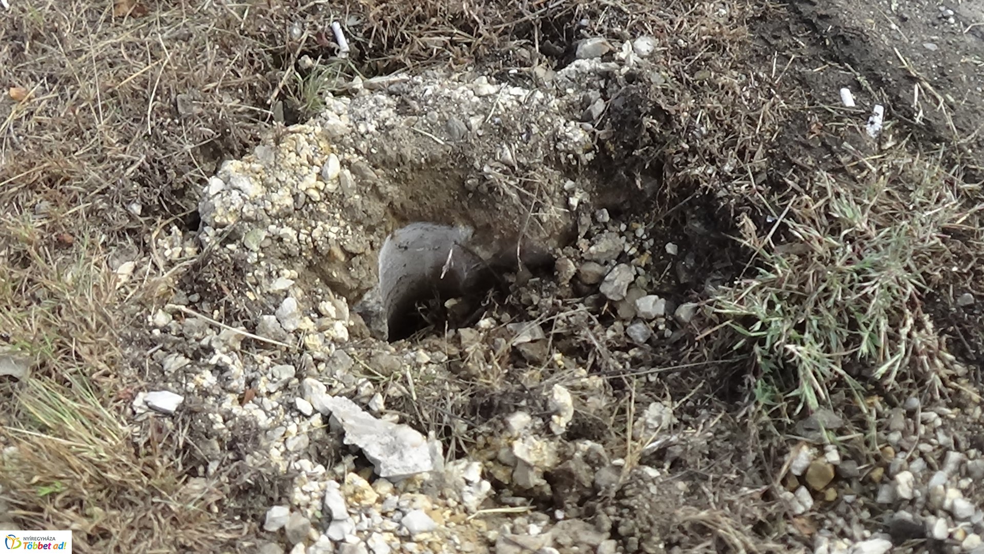 Villanyoszlopot és KRESZ táblákat tört ki egy gépkocsi a 41-es főútvonalon