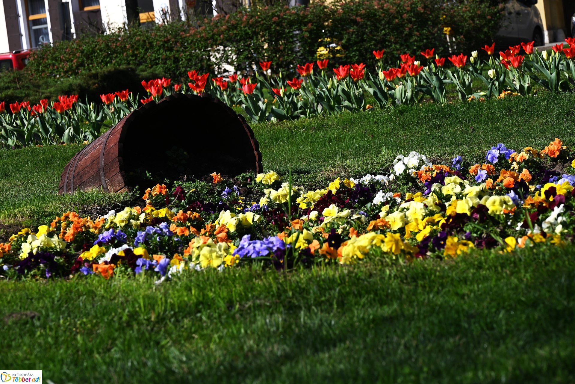 Virágba borult a város