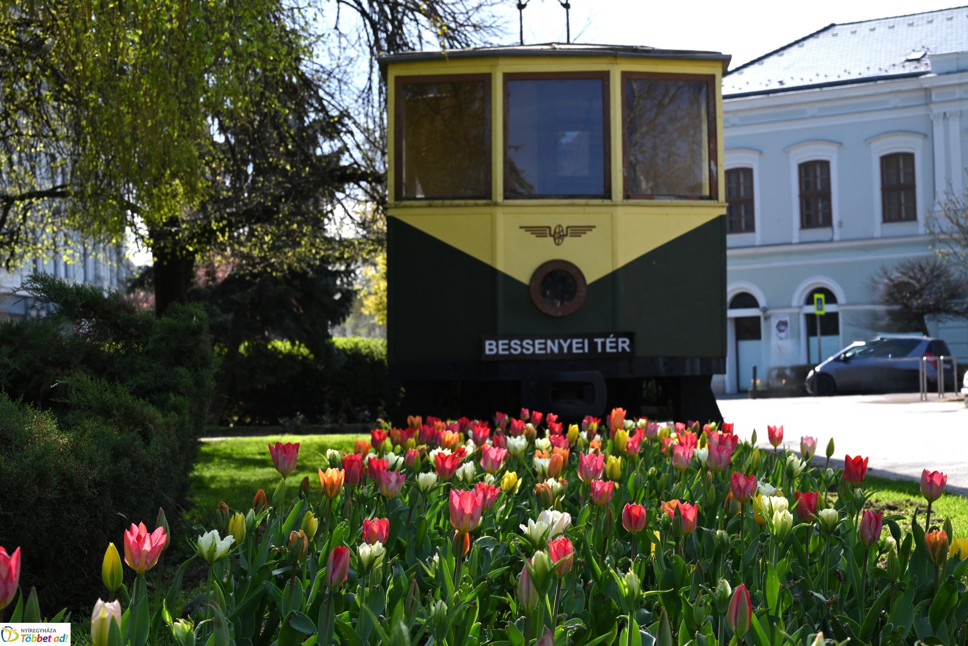 Virágba borult a város