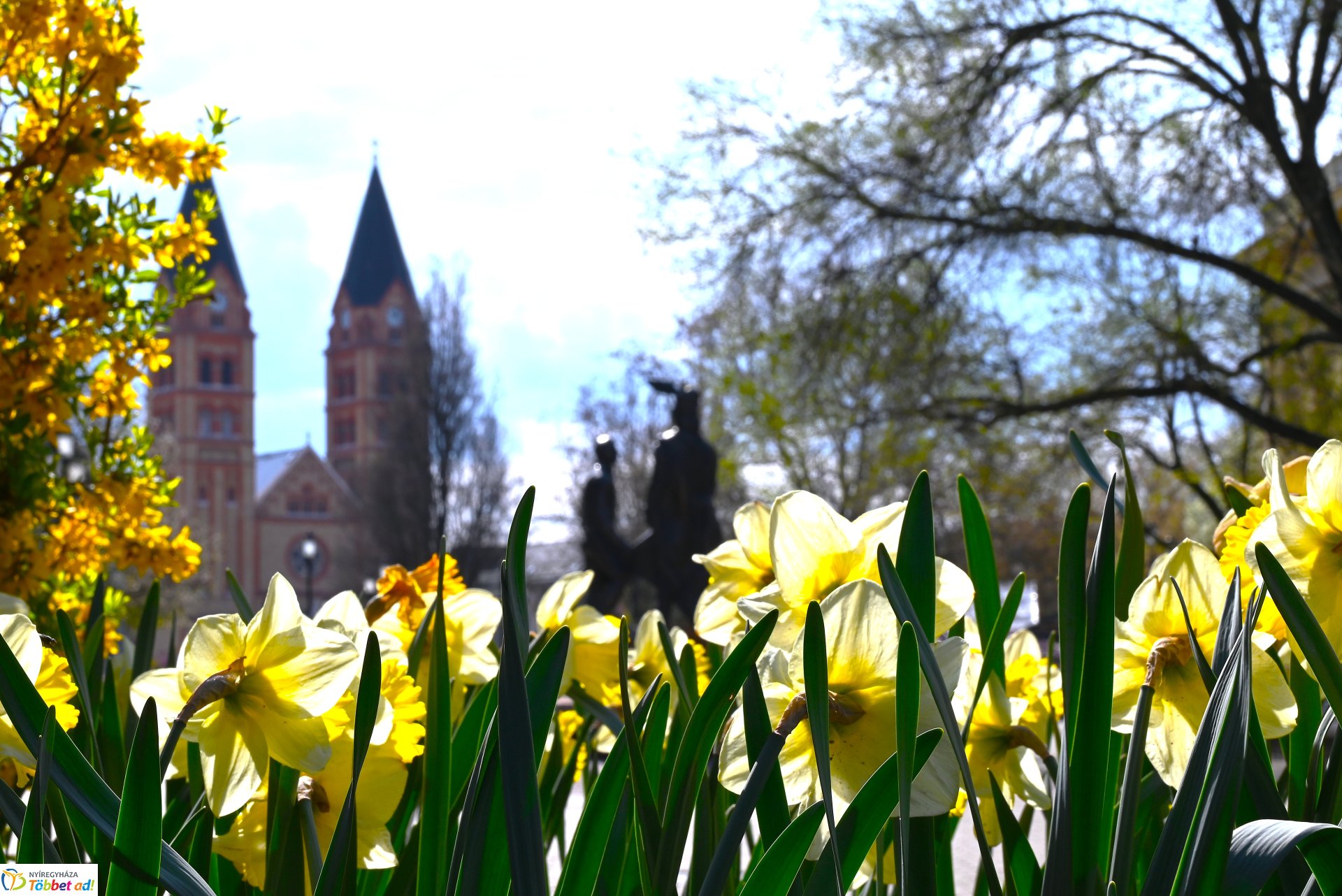 Virágba borult a város