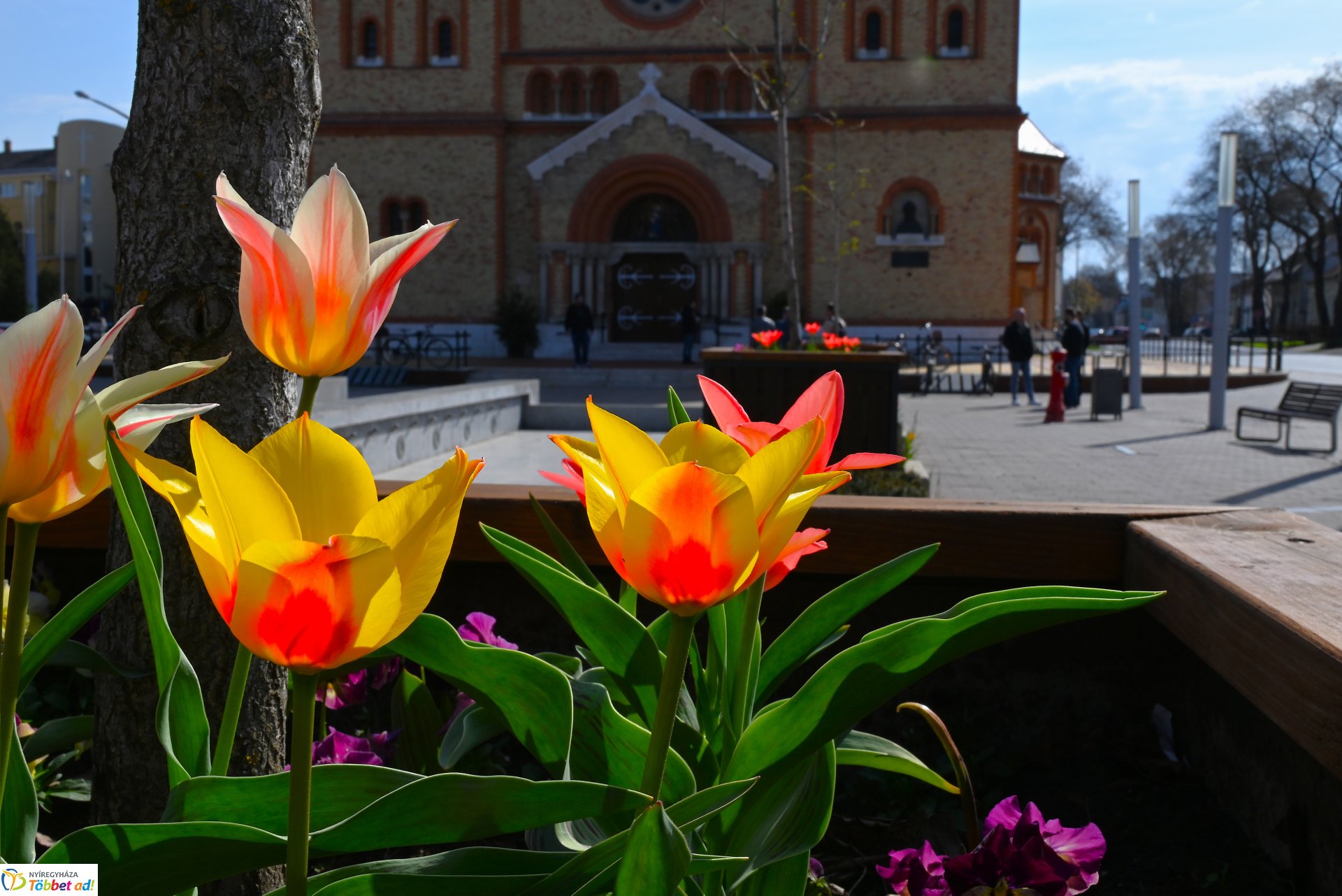 Virágba borult a város