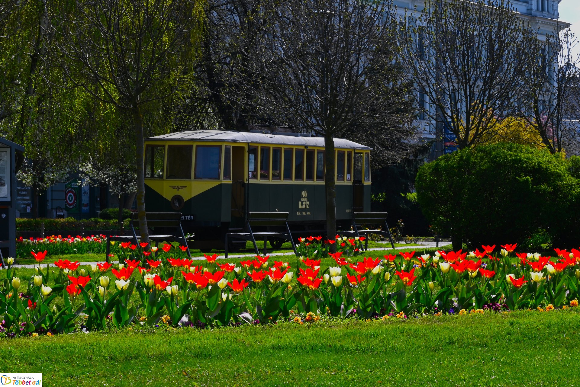 Virágba borult a város