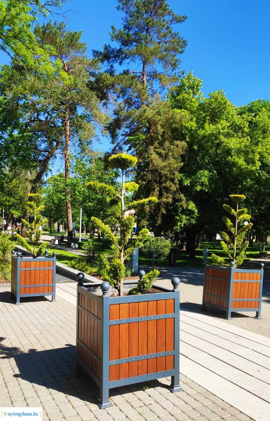 Virágos Nyíregyháza