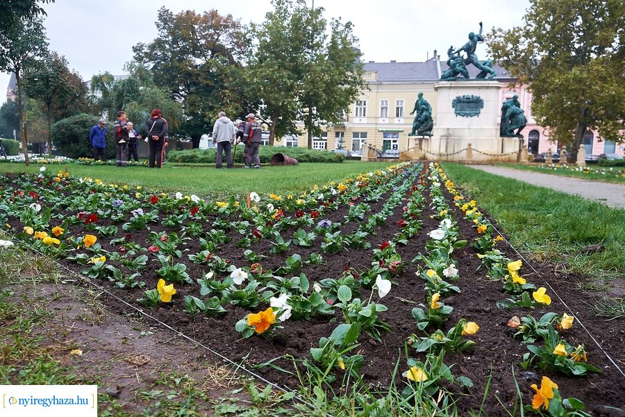 Virágosítás a Hősök terén - 20201007