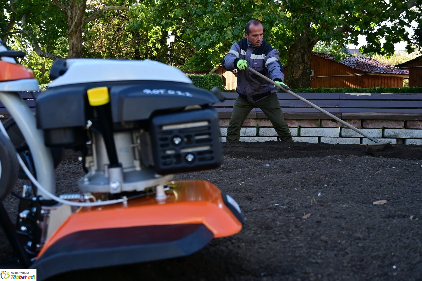 Virágosítás a Kossuth téren  Petőfis diákokkal 2025 októberében