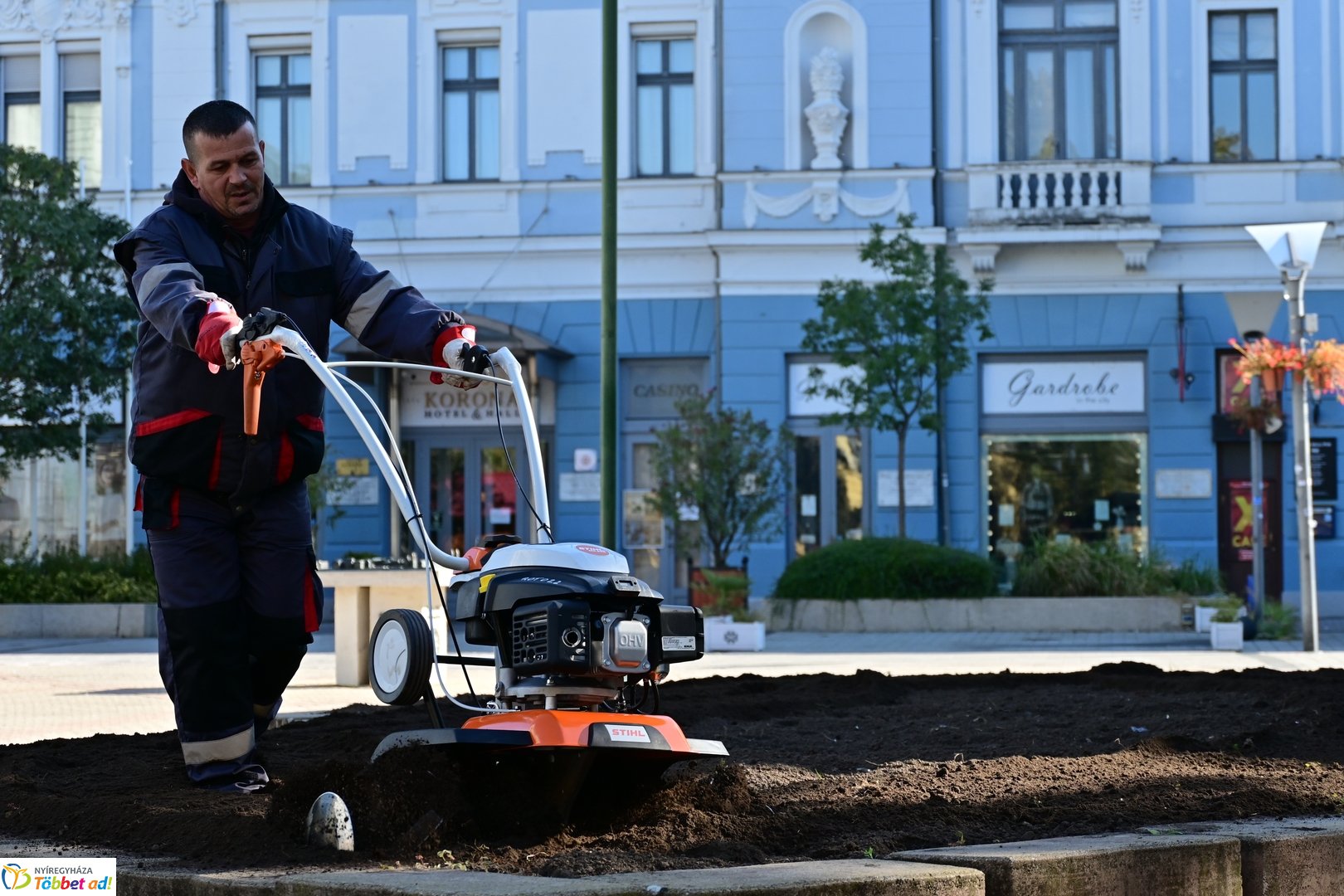Virágosítás a Kossuth téren  Petőfis diákokkal 2025 októberében