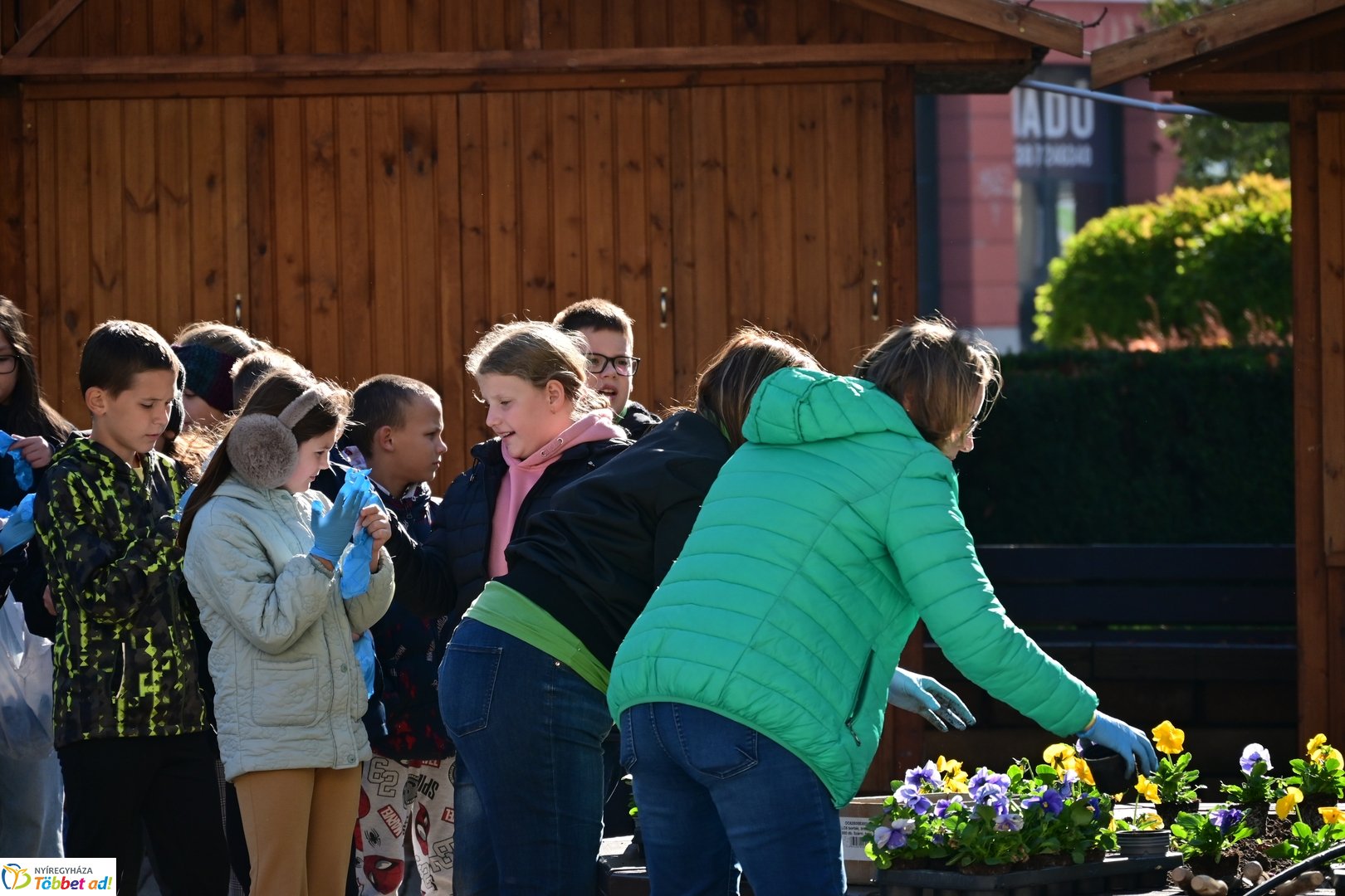 Virágosítás a Kossuth téren  Petőfis diákokkal 2025 októberében