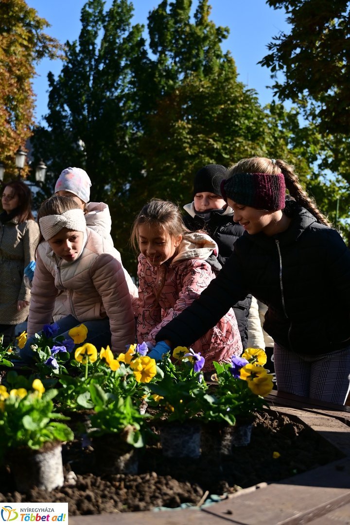 Virágosítás a Kossuth téren  Petőfis diákokkal 2025 októberében