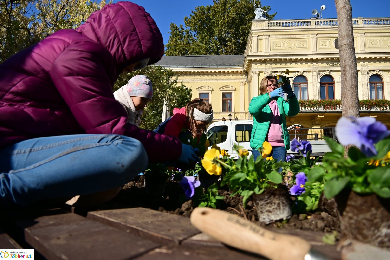 Virágosítás a Kossuth téren  Petőfis diákokkal 2025 októberében