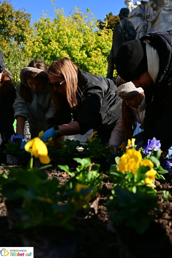 Virágosítás a Kossuth téren  Petőfis diákokkal 2025 októberében