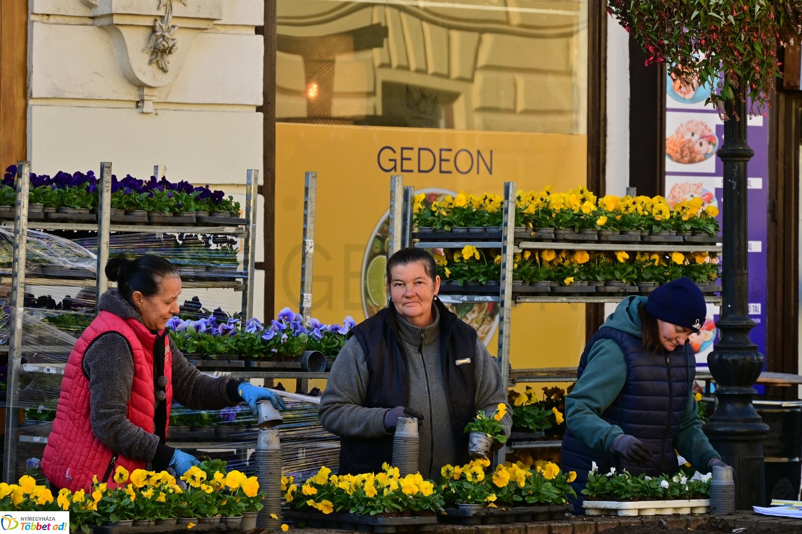 Virágosítás a Kossuth téren  Petőfis diákokkal 2025 októberében