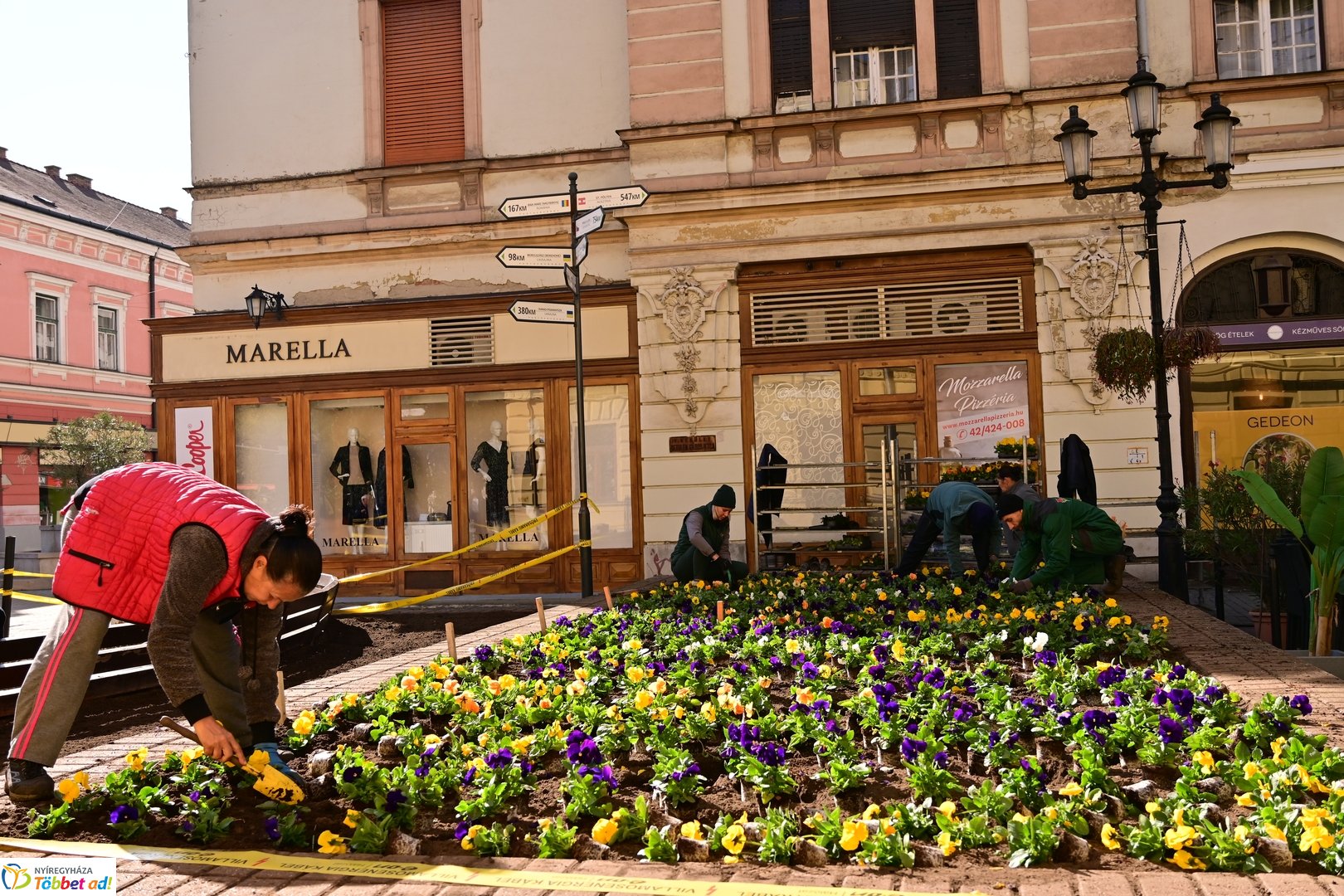 Virágosítás a Kossuth téren  Petőfis diákokkal 2025 októberében
