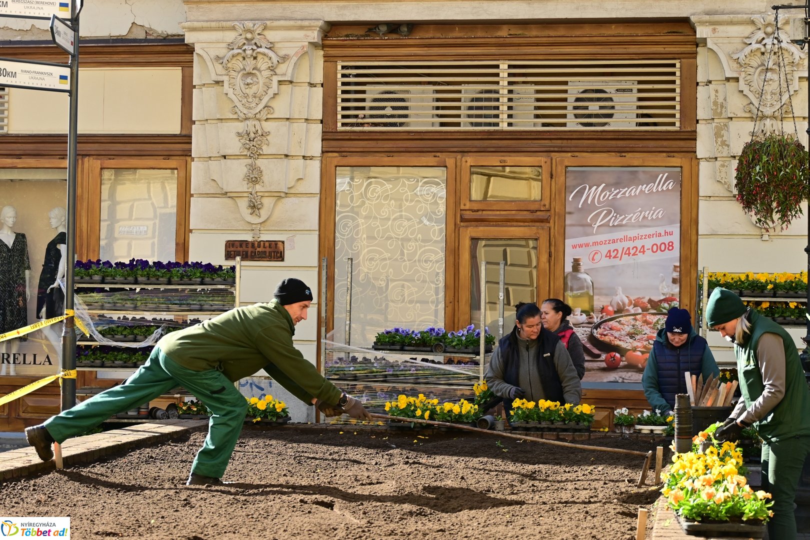 Virágosítás a Kossuth téren  Petőfis diákokkal 2025 októberében