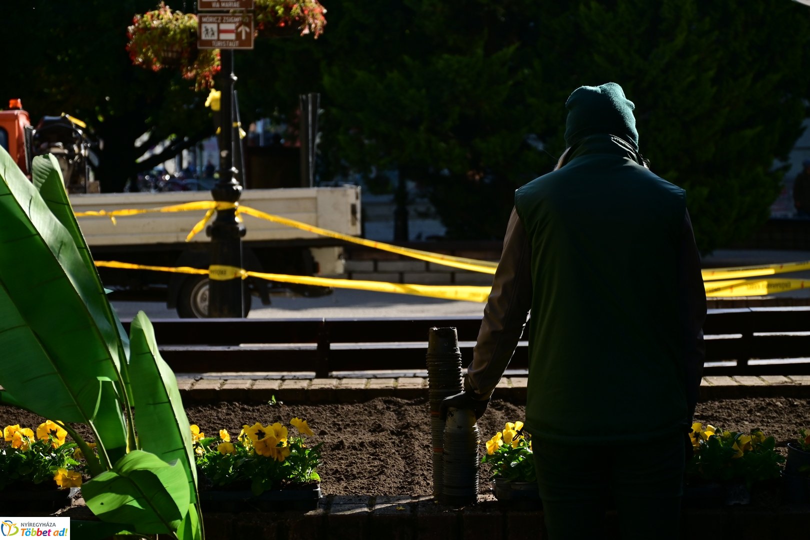 Virágosítás a Kossuth téren  Petőfis diákokkal 2025 októberében