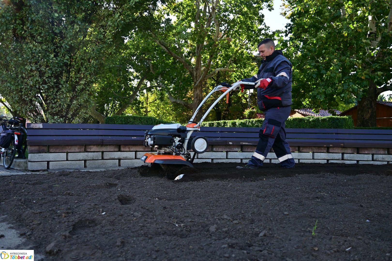 Virágosítás a Kossuth téren  Petőfis diákokkal 2025 októberében