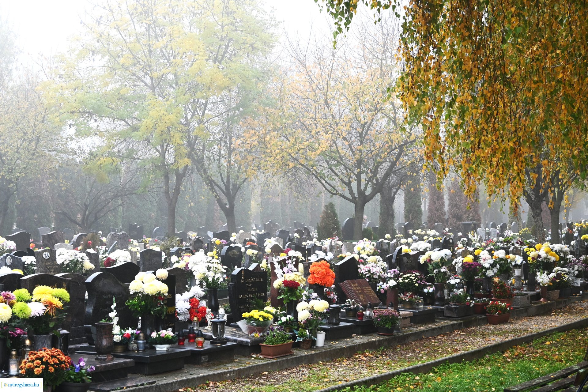 Virágözön az Északi temetőben