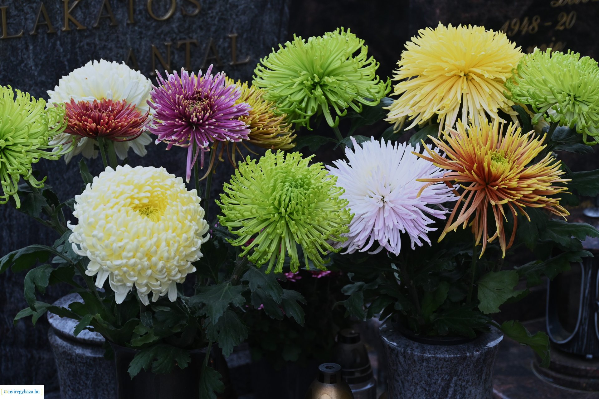 Virágözön az Északi temetőben