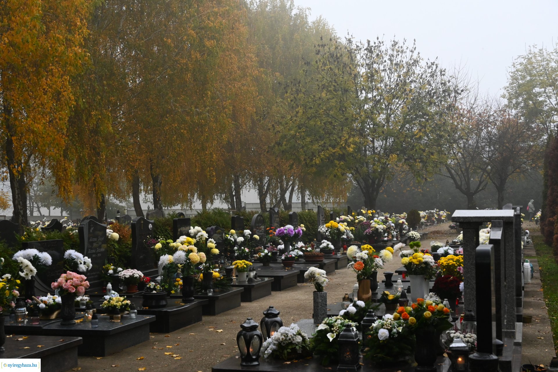 Virágözön az Északi temetőben