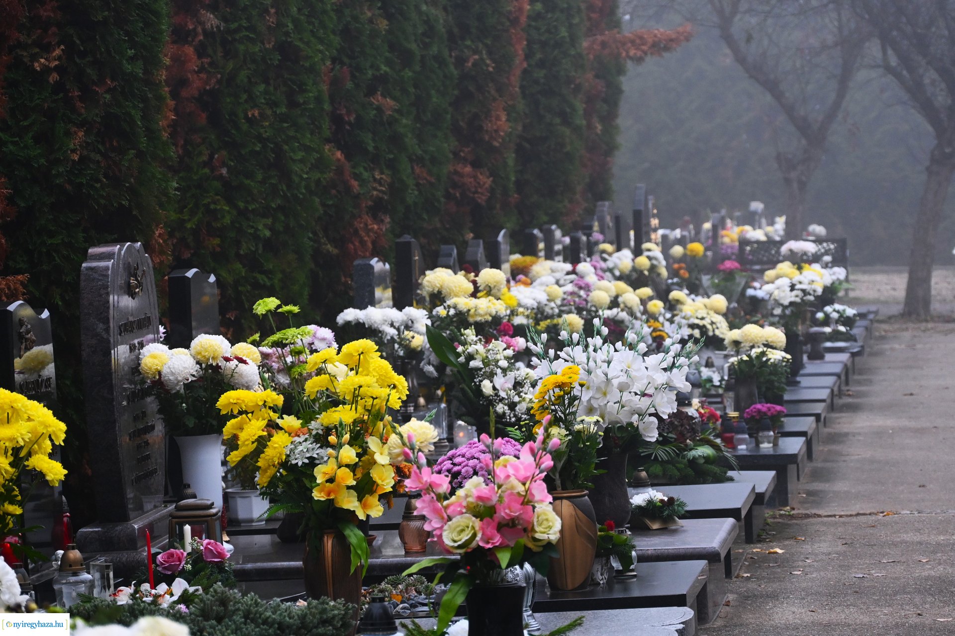 Virágözön az Északi temetőben