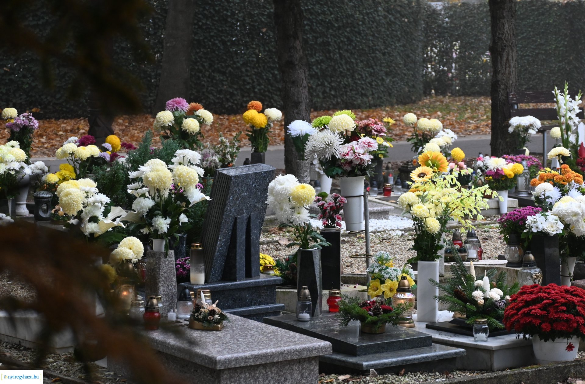 Virágözön az Északi temetőben