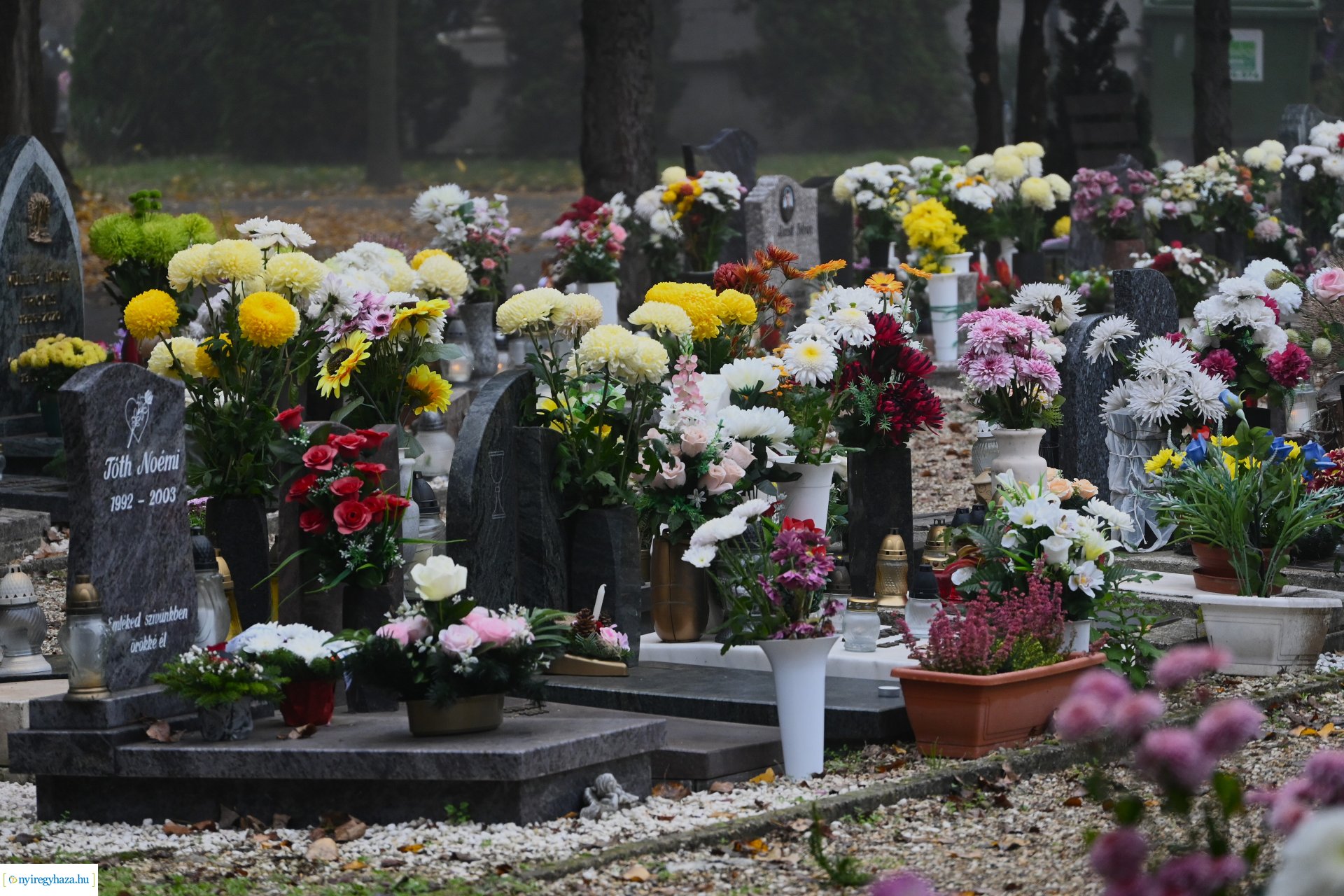 Virágözön az Északi temetőben