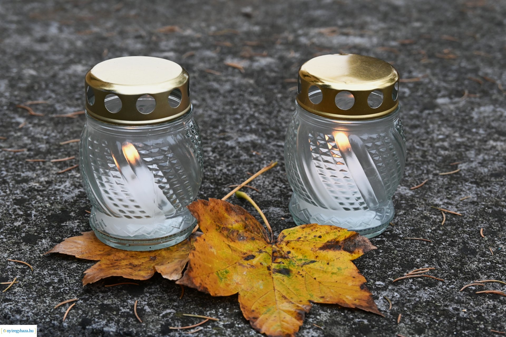 Virágözön az Északi temetőben