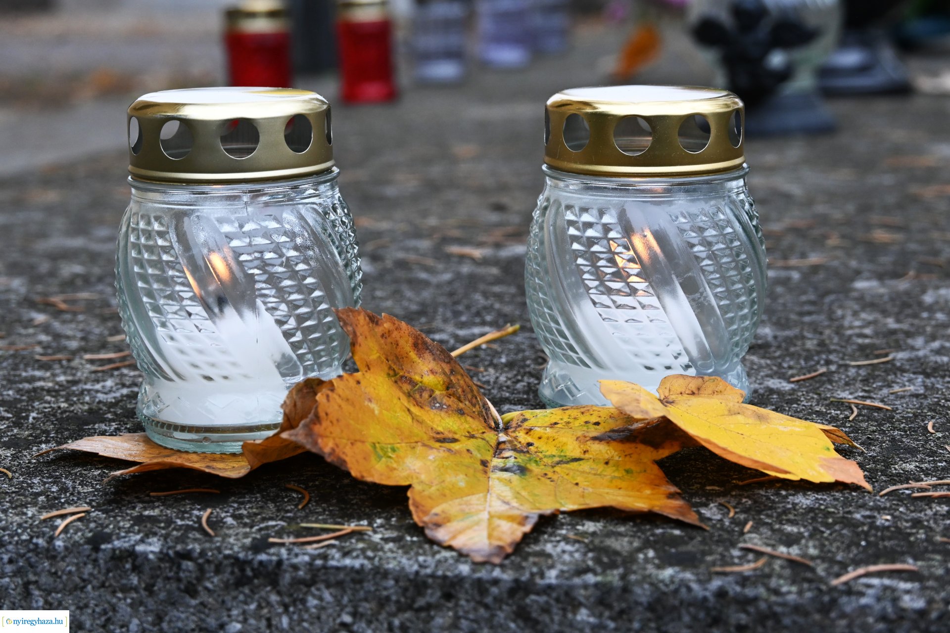 Virágözön az Északi temetőben