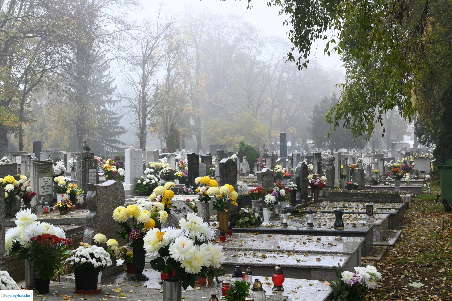 Virágözön az Északi temetőben