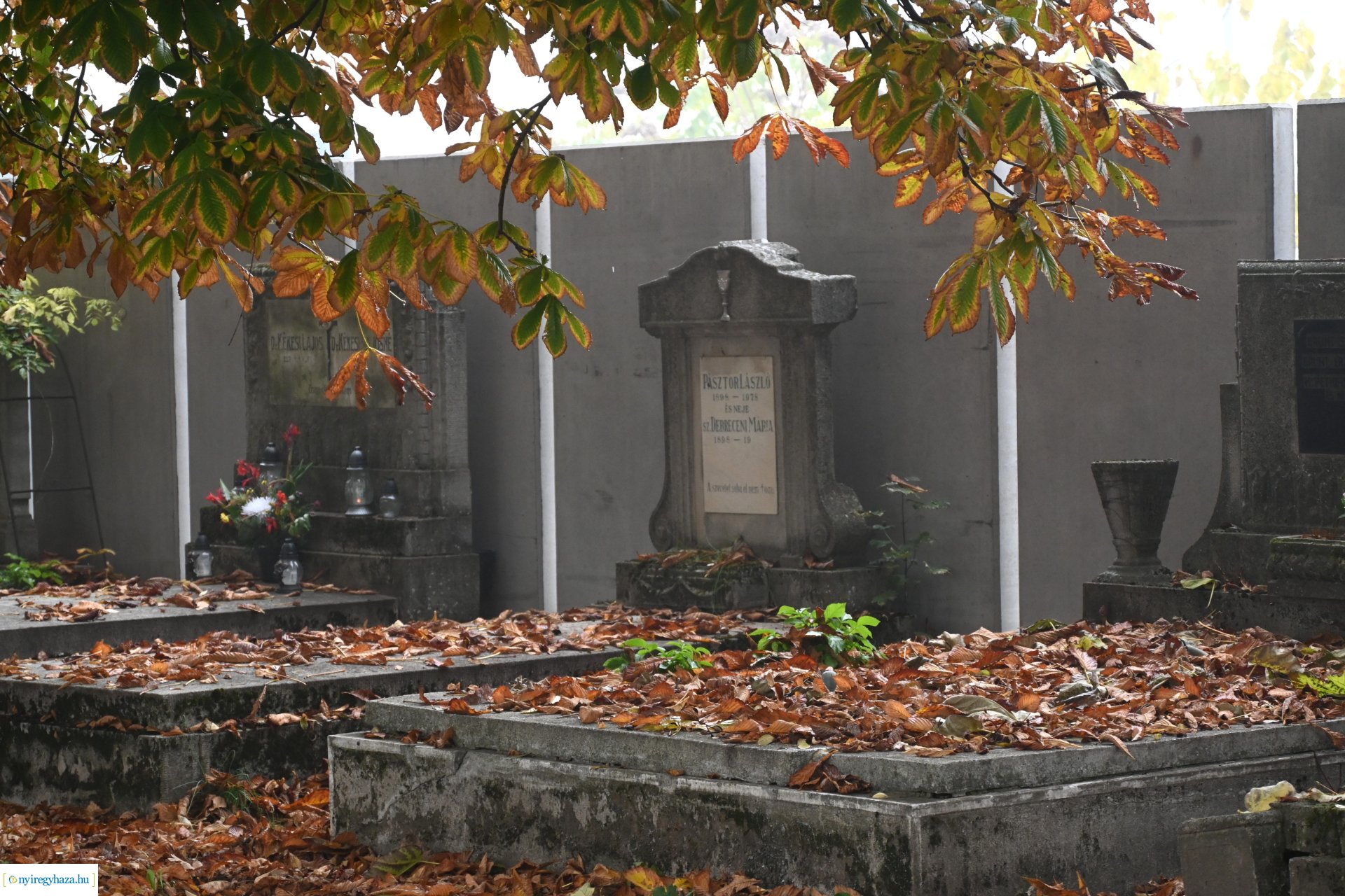 Virágözön az Északi temetőben