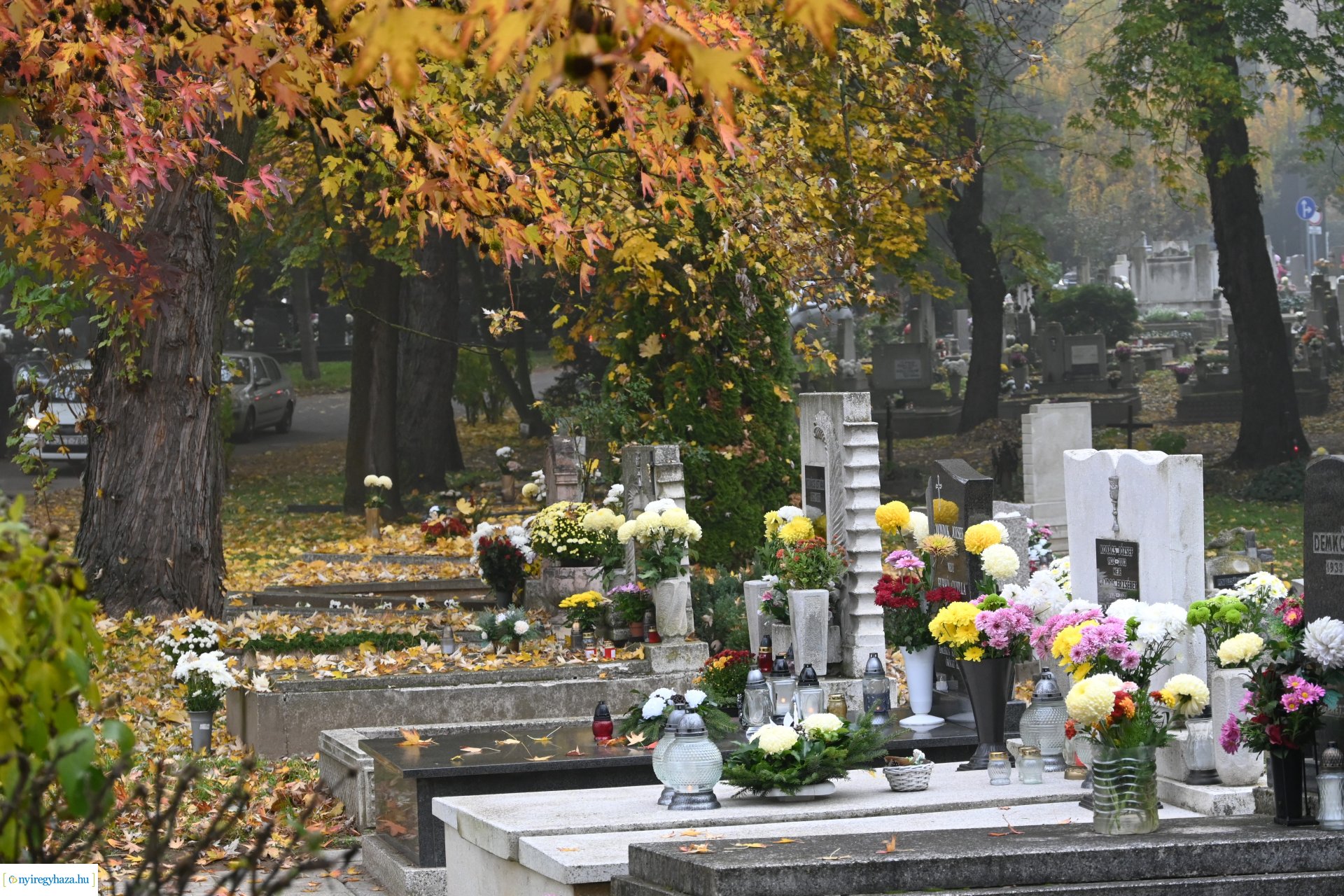 Virágözön az Északi temetőben