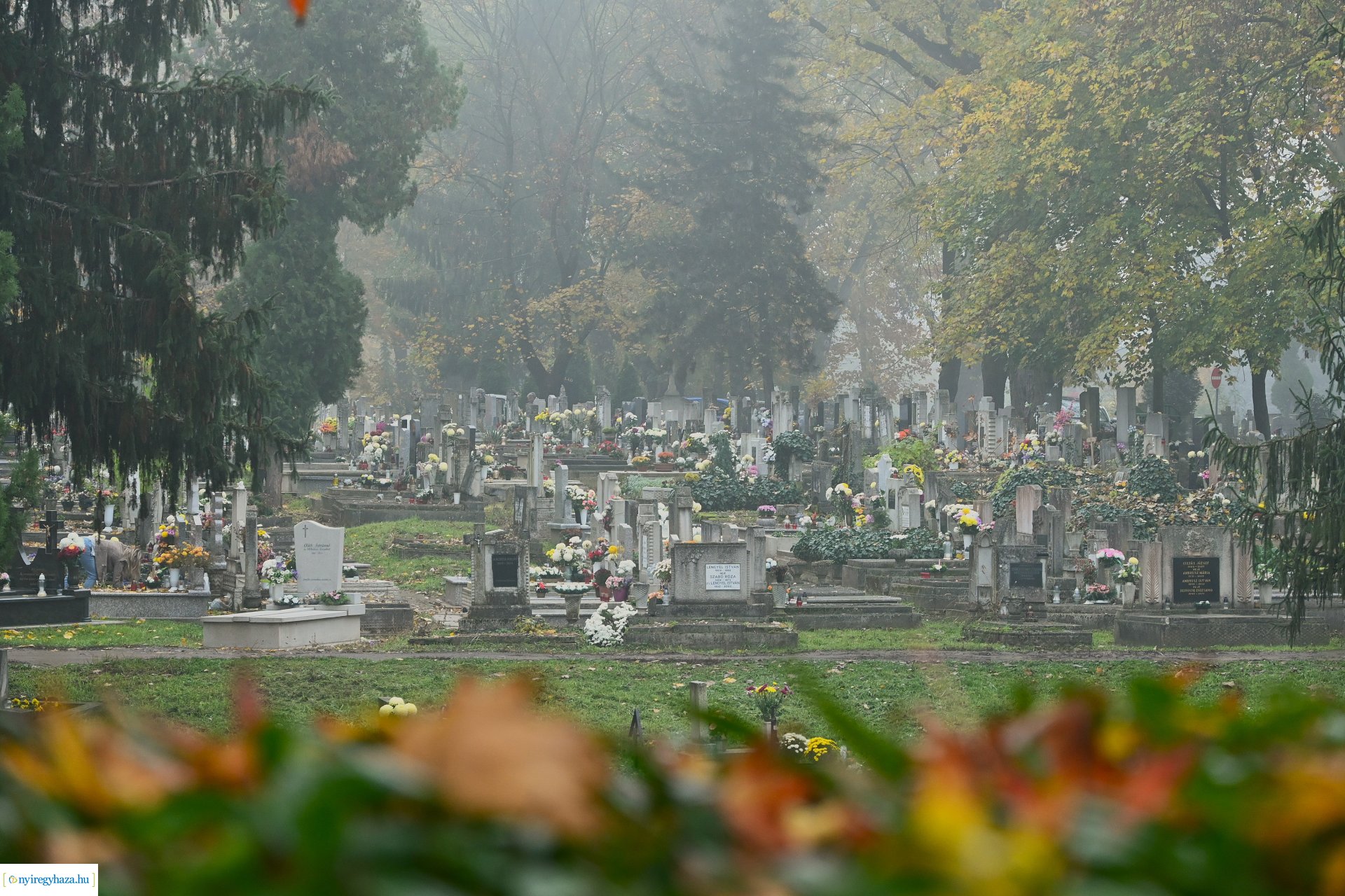 Virágözön az Északi temetőben