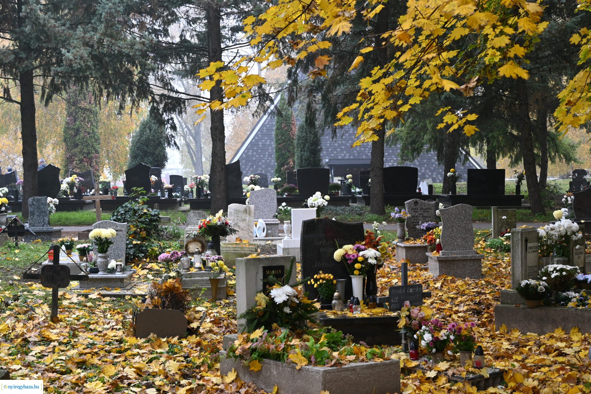 Virágözön az Északi temetőben