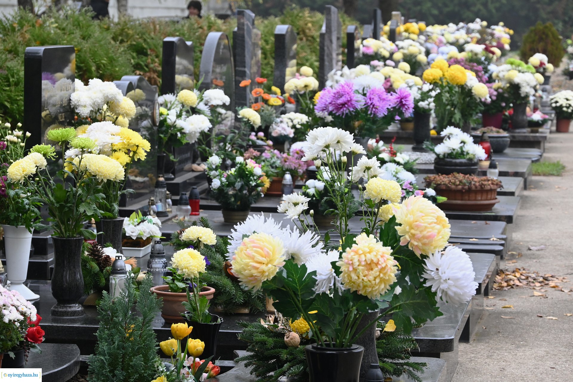 Virágözön az Északi temetőben