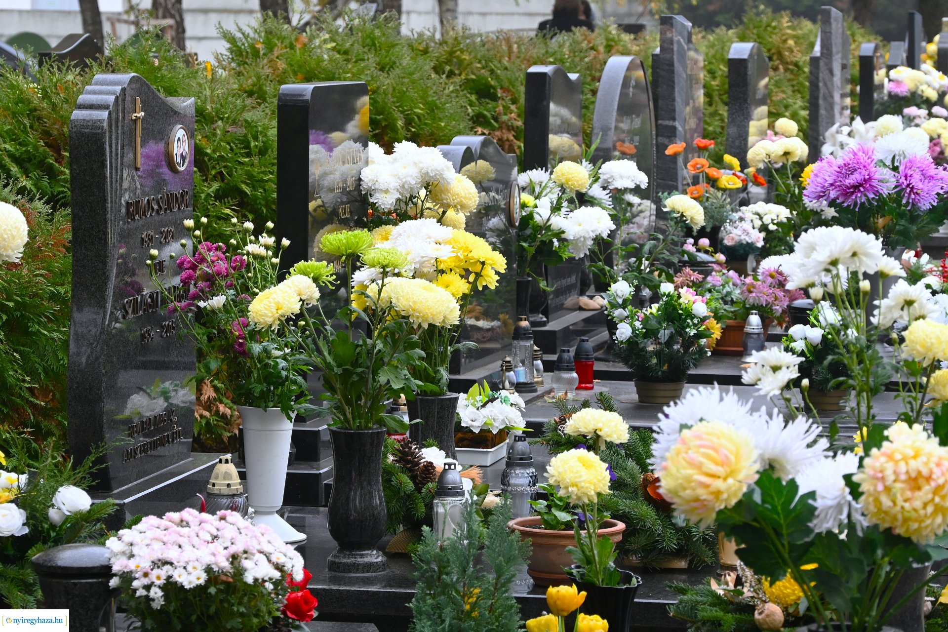 Virágözön az Északi temetőben