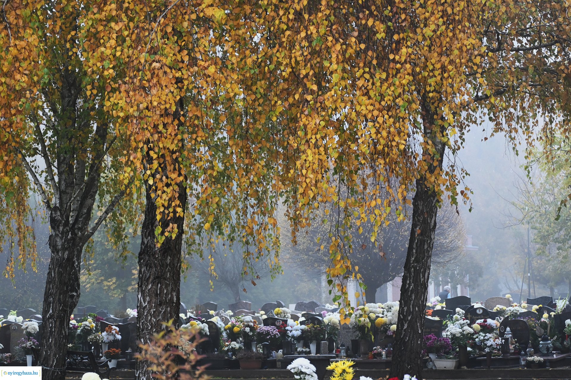 Virágözön az Északi temetőben