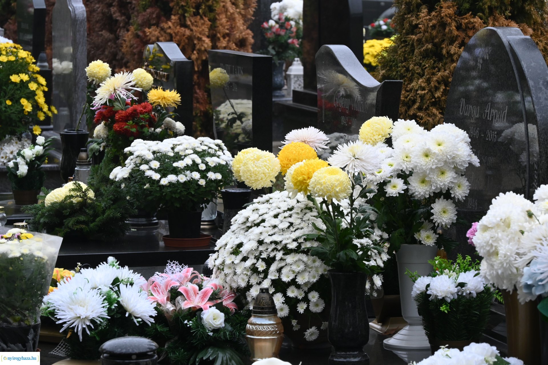 Virágözön az Északi temetőben