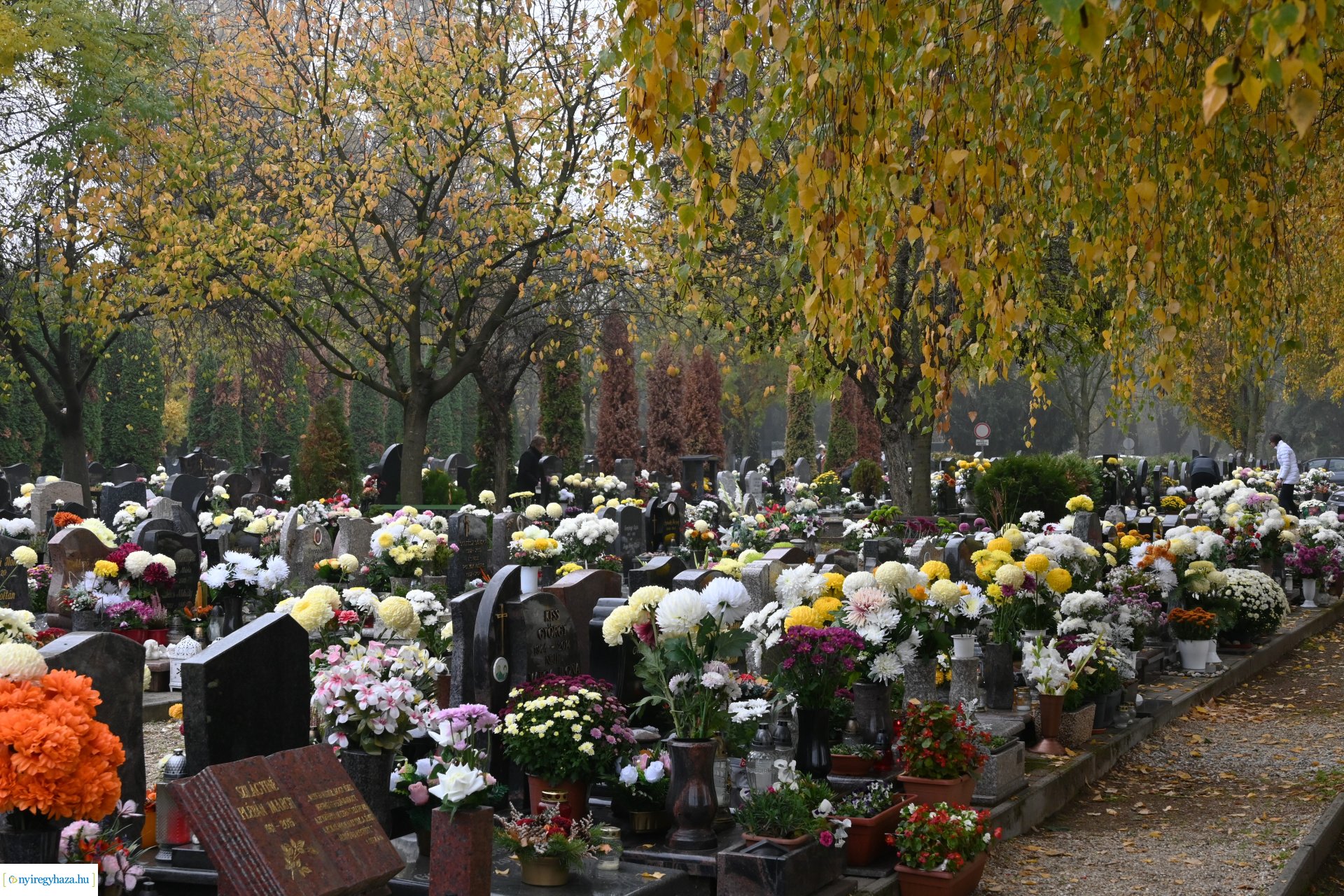 Virágözön az Északi temetőben