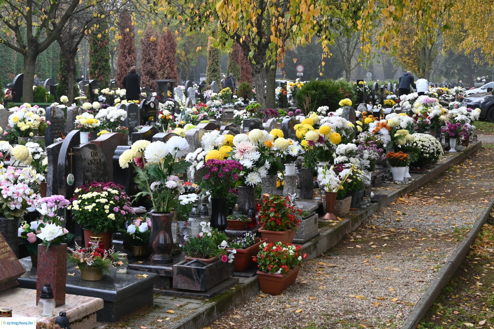 Virágözön az Északi temetőben