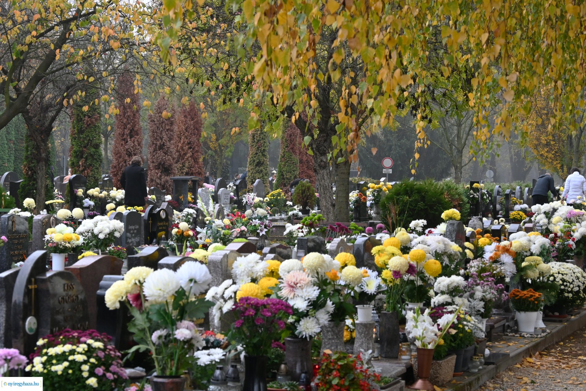 Virágözön az Északi temetőben